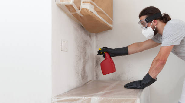 Professional Mold Removal technician working in Baldwin, MI